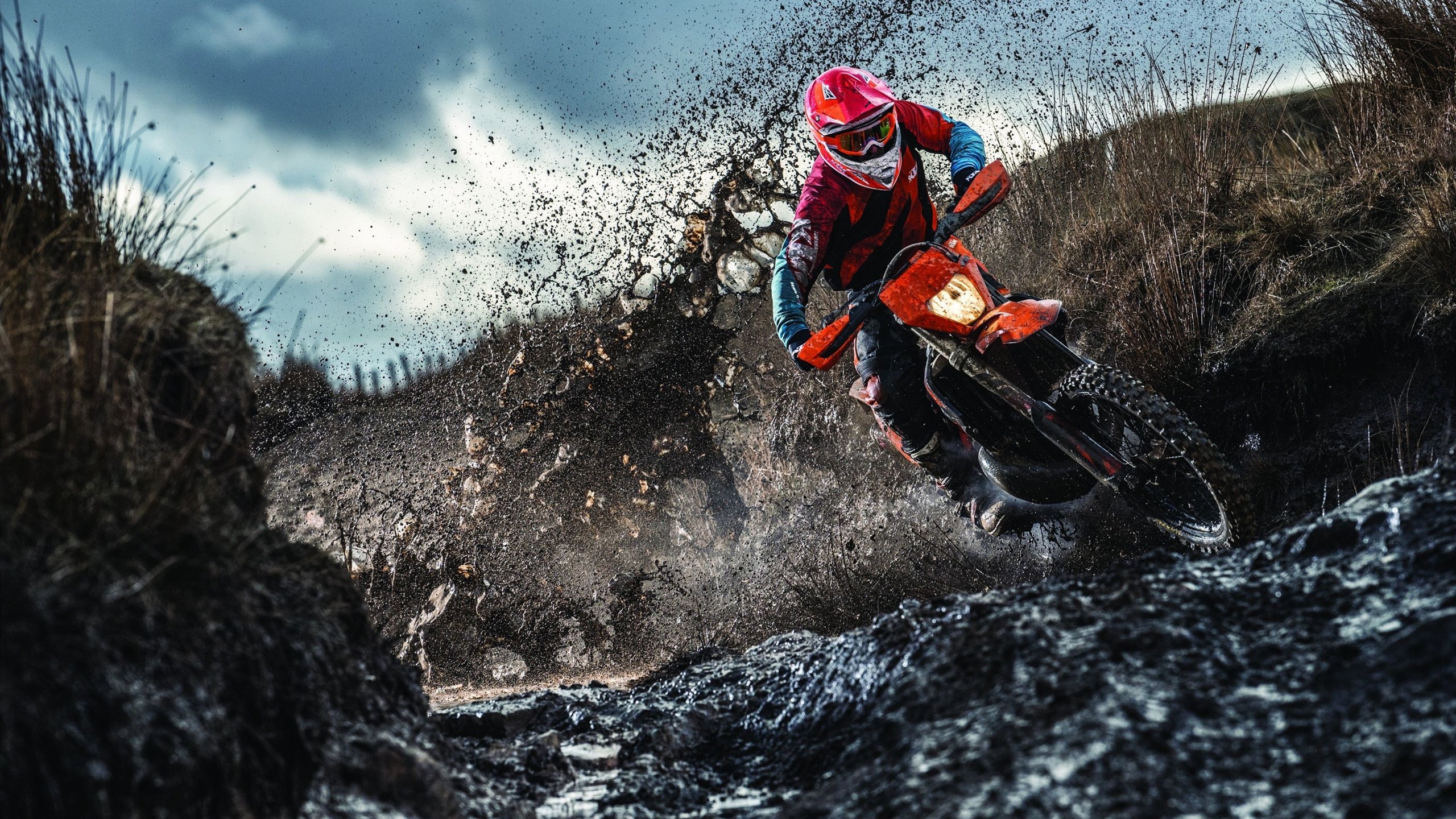 乔治点燃赛场！上海男篮火力全开，辽宁不败金身告破